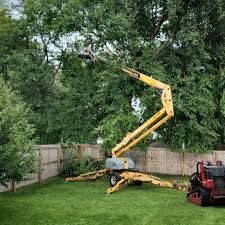 Best Aeration Services  in St Marys, WV